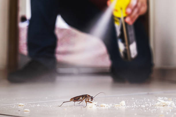 Best Rat Extermination Near Me  in Litchfield, MI
